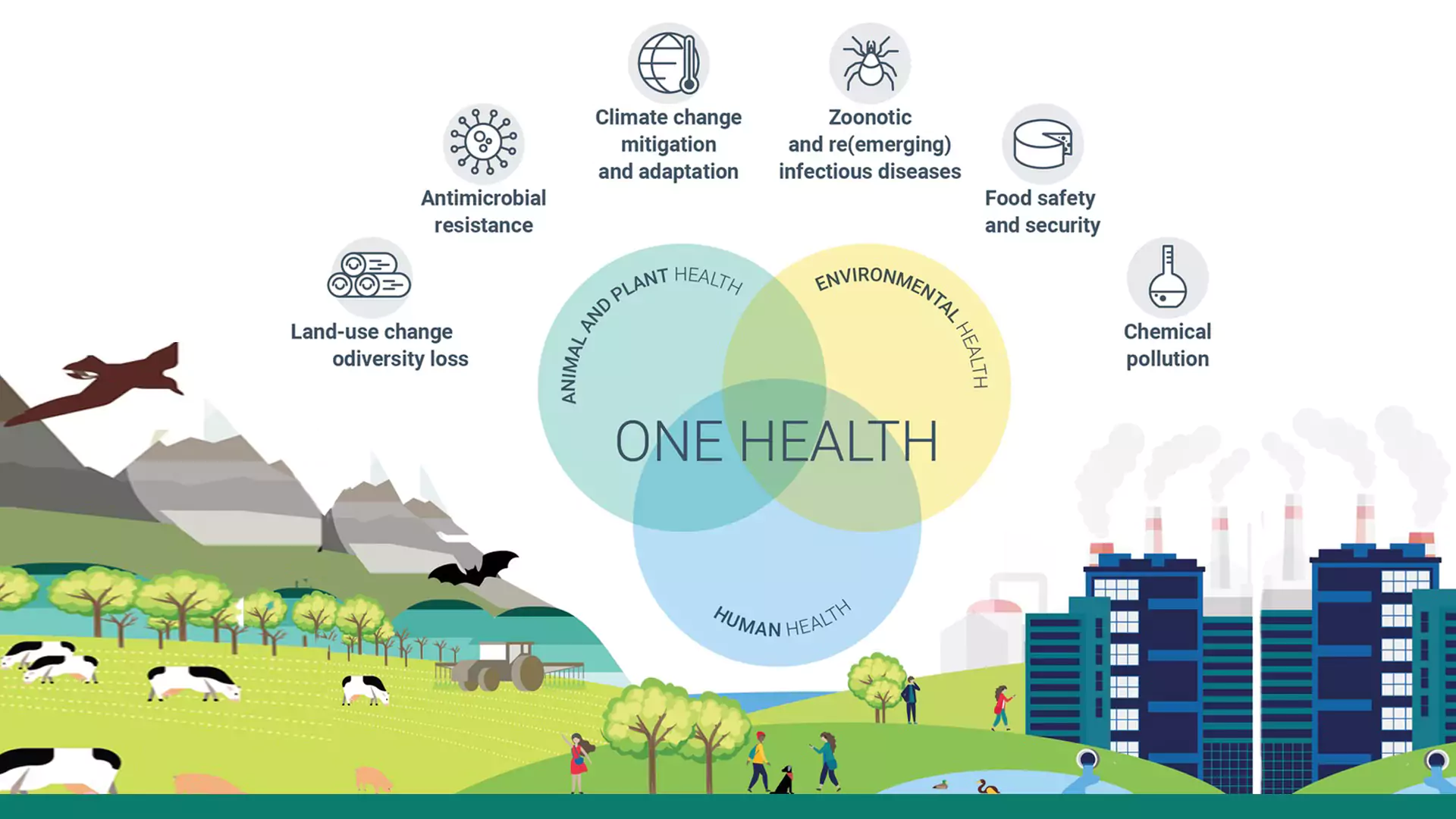 One Health Slide 1