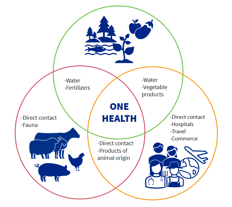 One Health Graphic